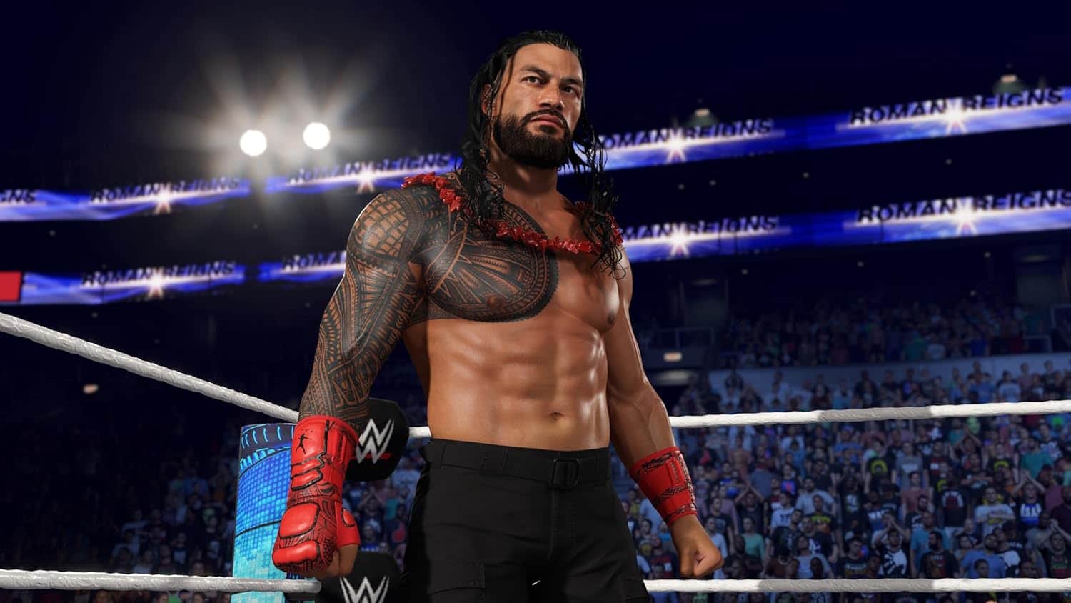 WWE 2K25